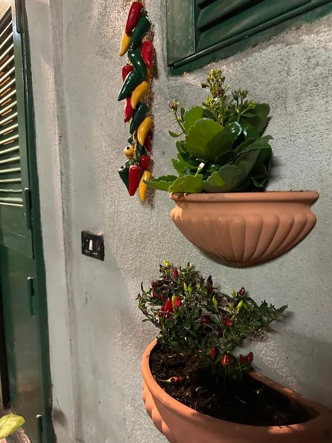 Tiny House - Spaccanapoli Apartment