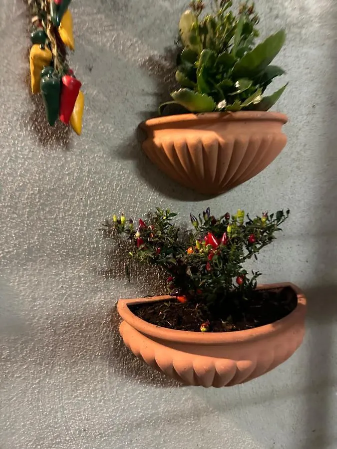 Tiny House - Spaccanapoli Apartment 0*, Naples Italy